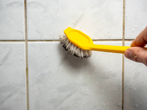 Best Professional Mold Removal  in Shiloh, PA