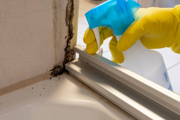 Best Mold Testing  in Shiloh, PA