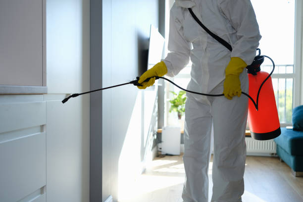 Best Residential Mold Removal  in Shiloh, PA